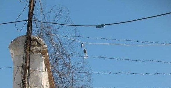 Суд по делу смерти заключенного Икромзода проходит в закрытом режиме
