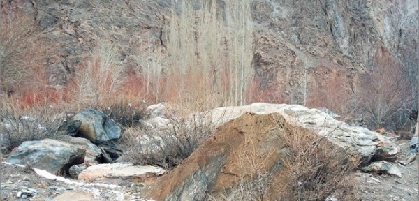 bartang_006