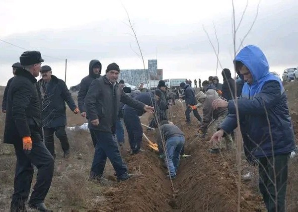 На трассе «Душанбе-Чанак» высадили свыше 2500 деревьев 

